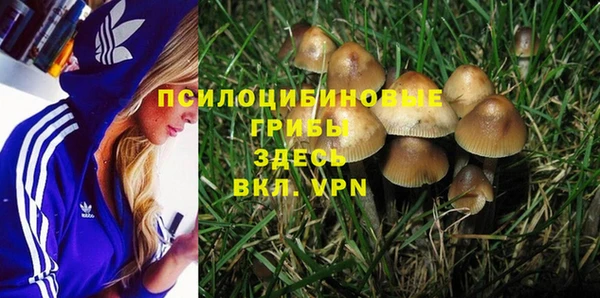 прущая мука Волоколамск