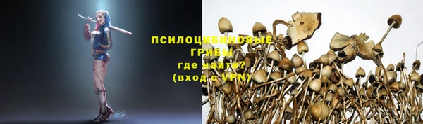 прущая мука Волоколамск